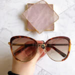 Sunglasses Jimmy Choo JANK/S