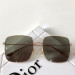 Sunglasses Dior Stellaire1
