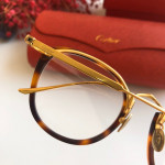 Sunglasses Cartier CT0014