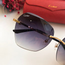 Cartier CT0091 Sunglasses