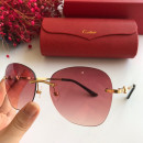 Cartier CT0091 Sunglasses
