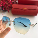 Cartier CT0091 Sunglasses