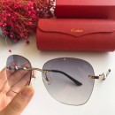 Cartier CT0091 Sunglasses