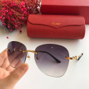 Cartier CT0091 Sunglasses