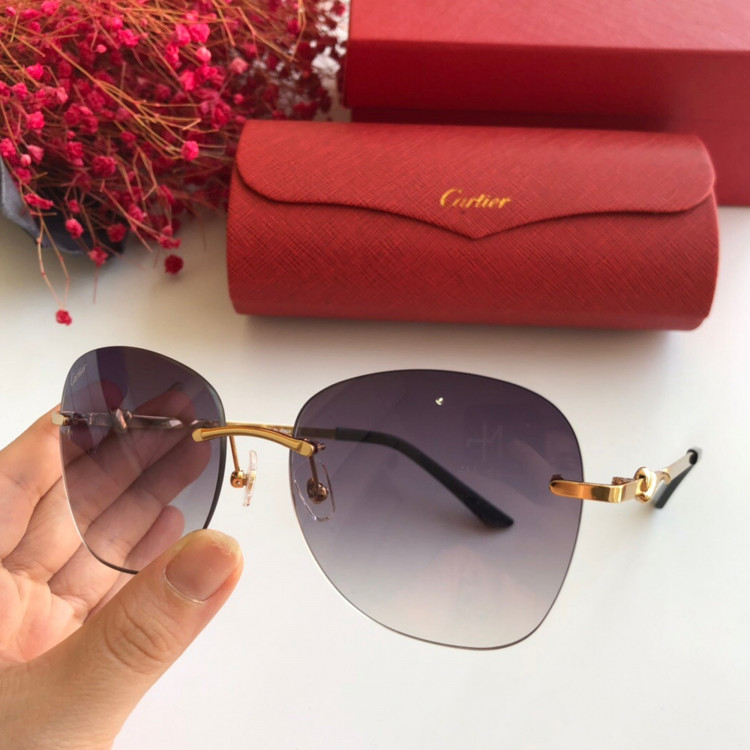 Cartier CT0091 Sunglasses