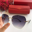 Cartier CT0091 Sunglasses