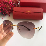 Cartier CT0091 Sunglasses