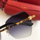 Cartier CT0091 Sunglasses