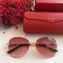 Cartier CT0091 Sunglasses