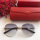 Cartier CT0091 Sunglasses