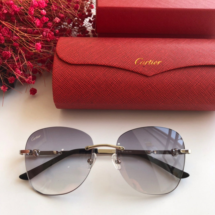 Cartier CT0091 Sunglasses