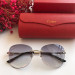Солнцезащитные очки Cartier CT0091