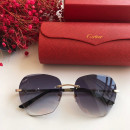 Cartier CT0091 Sunglasses