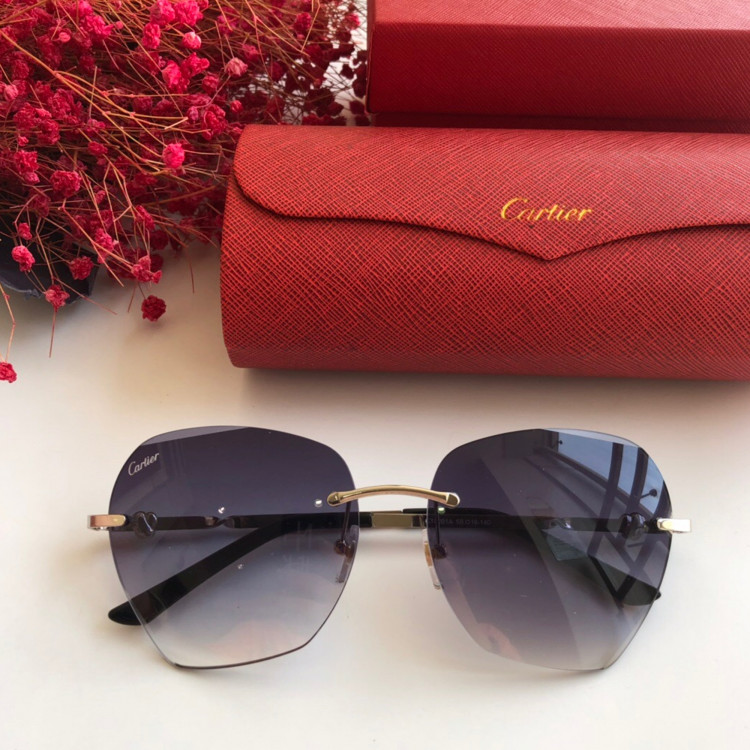 Cartier CT0091 Sunglasses