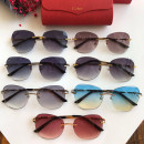 Cartier CT0091 Sunglasses