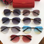 Cartier CT0091 Sunglasses