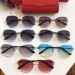 Солнцезащитные очки Cartier CT0091