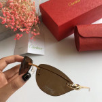Panthère De Cartier Sunglasses