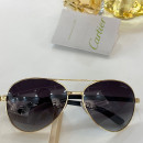 Sunglasses Cartier 00185 
