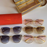 Sunglasses Cartier CT0198s