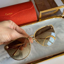 Sunglasses Cartier CT0198s