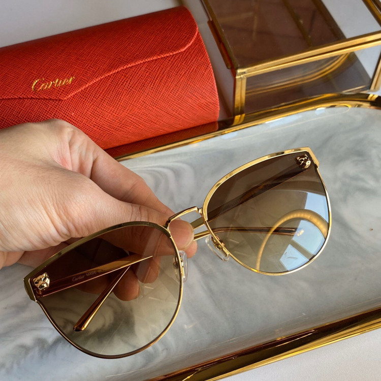 Sunglasses Cartier CT0198s