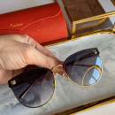 Sunglasses Cartier CT0198s