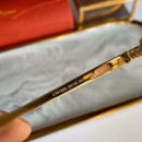 Sunglasses Cartier CT0198s