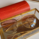 Sunglasses Cartier CT0198s