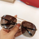 Sunglasses Cartier CT0024