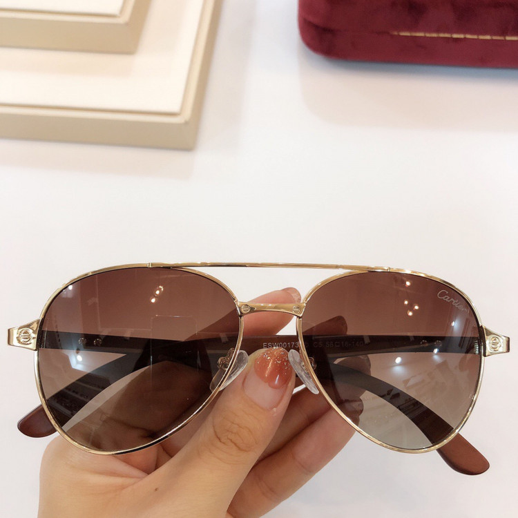 Sunglasses Cartier 00173