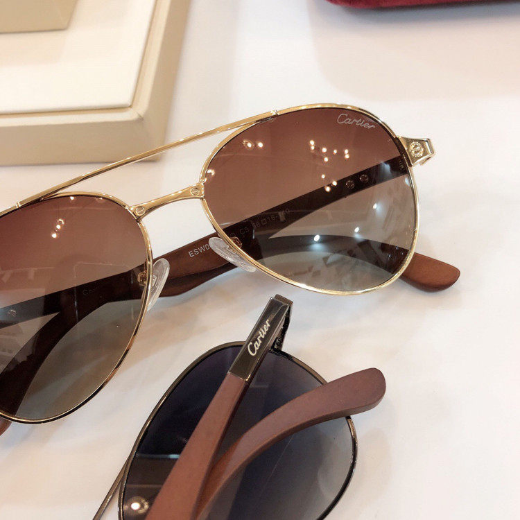 Sunglasses Cartier 00173