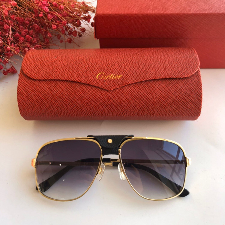 Sunglasses Cartier CT0165S
