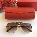 Sunglasses Cartier CT0165S