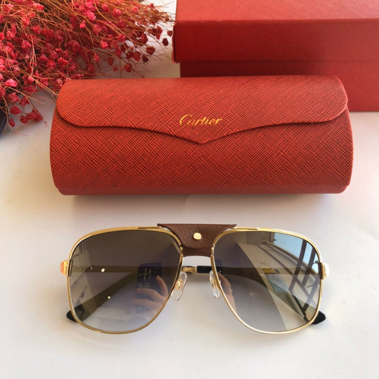 Sunglasses Cartier CT0165S