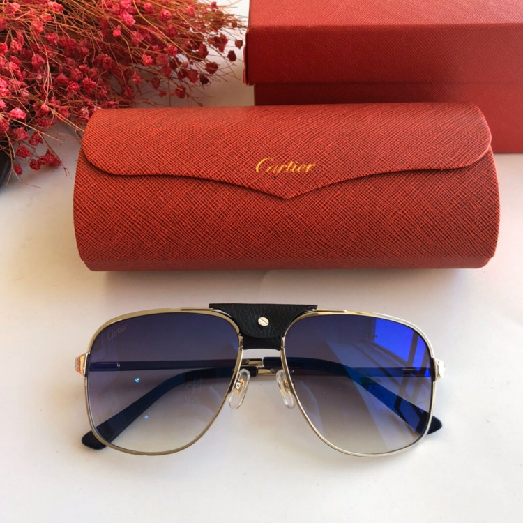 Sunglasses Cartier CT0165S