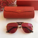 Sunglasses Cartier CT0165S