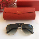 Sunglasses Cartier CT0165S