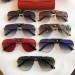 Sunglasses Cartier CT0165S