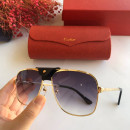 Sunglasses Cartier CT0165S