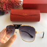 Sunglasses Cartier CT0165S