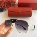 Sunglasses Cartier CT0165S