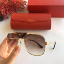 Sunglasses Cartier CT0165S
