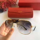 Sunglasses Cartier CT0165S