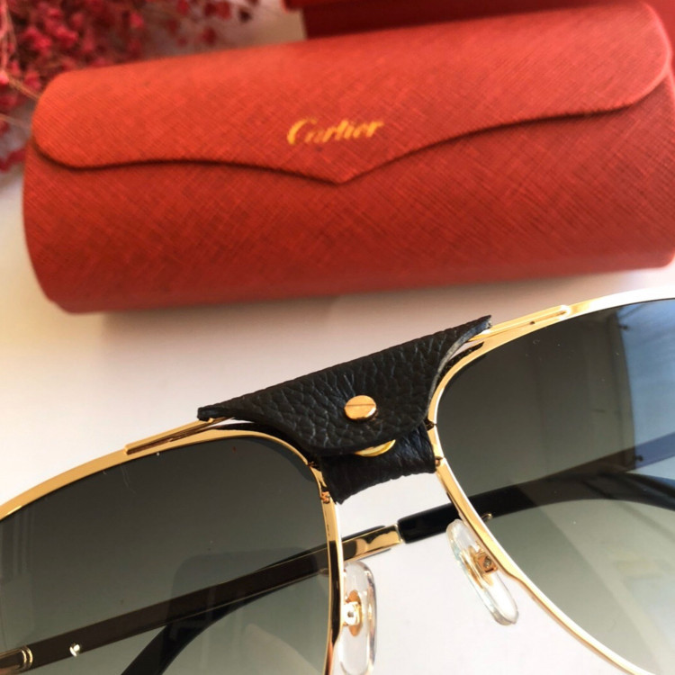 Sunglasses Cartier CT0165S