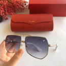Sunglasses Cartier CA6042