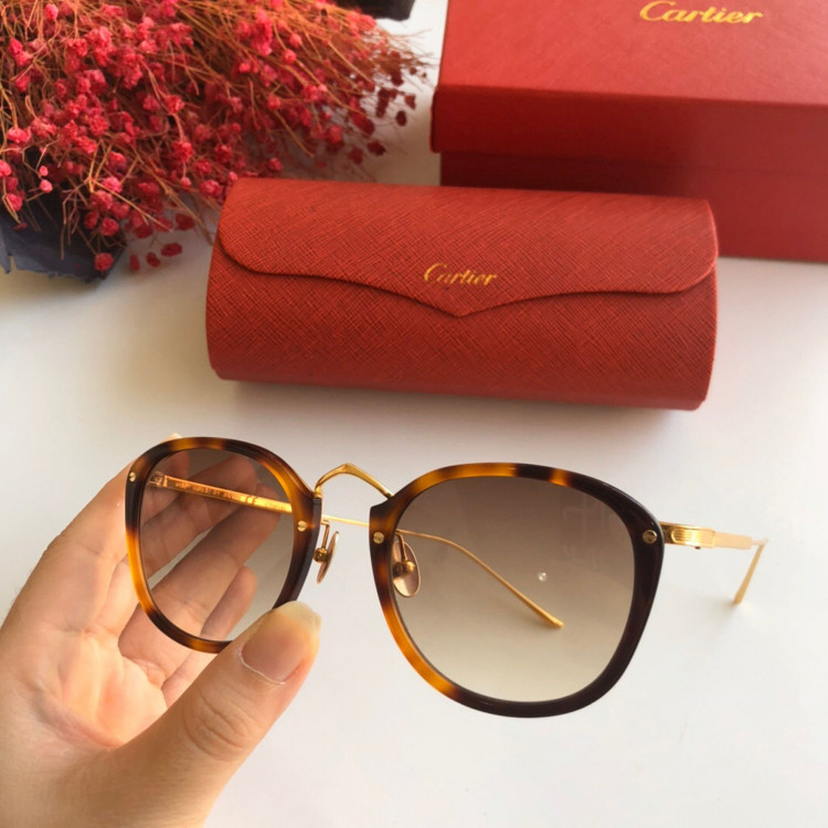 Sunglasses Cartier CT0014s