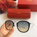 Sunglasses Cartier CT0014s