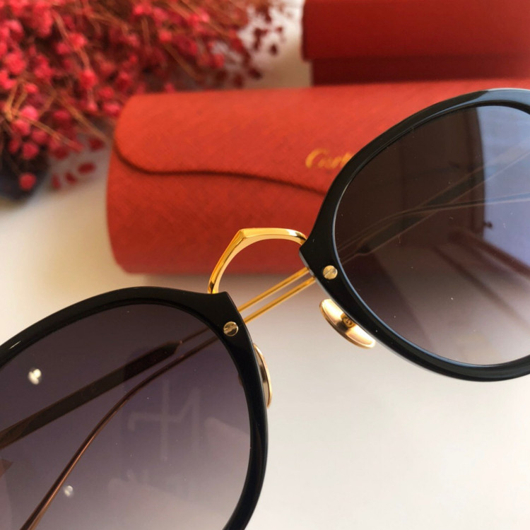 Sunglasses Cartier CT0014s