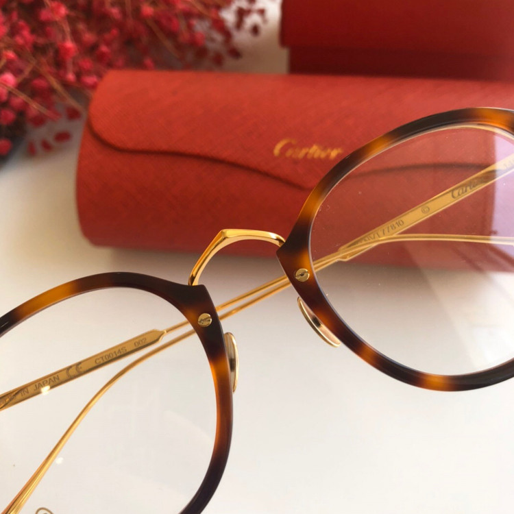 Sunglasses Cartier CT0014s